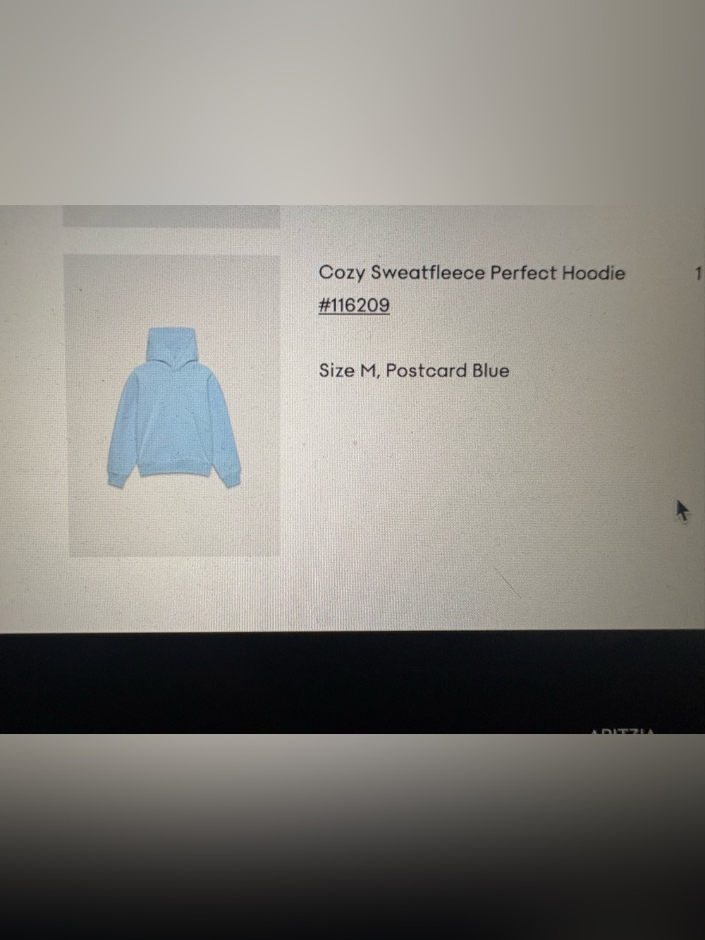 Aritzia women's cozy sweatfleece perfect hoodie